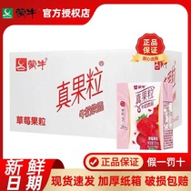 6月产蒙牛小真果粒牛奶125ml*40/20盒整箱草莓味早餐乳品饮迷你版