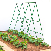 黄瓜爬藤架豆角架杆西红柿架种菜蔬菜搭棚子架植物支撑杆包塑钢管