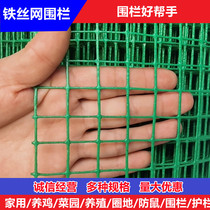 小网格铁丝网防护网养鸡围栏塑料铁网格网养殖防鼠阳台防护专用网