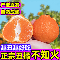 10斤四川不知火丑橘正宗桔子耙耙当季新鲜时令水果柑橘整箱包邮