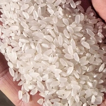 宁夏大米贡米精一免淘洗新米粳米珍珠米5斤袋装2.5KG包邮银川