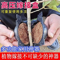 嫁接植物高压繁殖盒生根器扦插繁殖球塑料园林树木高压压枝生根球
