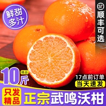 广西武鸣沃柑新鲜10斤正宗水果当季整箱现摘大果橘子礼盒蜜桔贡柑