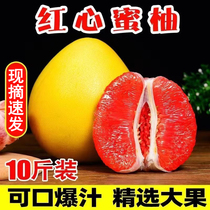 福建平和蜜柚9斤红心柚子新鲜当季孕妇水果琯溪红肉文旦三红蜜柚