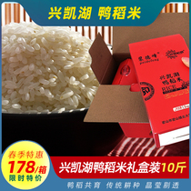 兴凯湖鸭稻米5KG礼盒装2023年东北大米新米黑龙江营养粳米10斤装