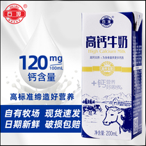 广西石埠高钙牛奶整箱200ml*24盒中老年儿童成长学生高钙奶甜牛奶