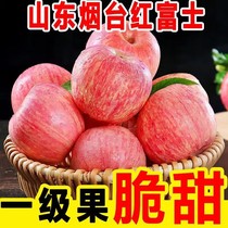 正宗山东烟台红富士苹果新鲜水果当季整箱栖霞萍果脆甜10斤丑苹果