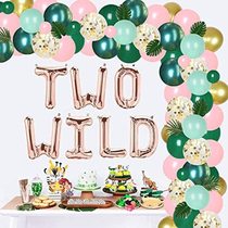 Two Wild Jungle Birthday Decorations Girl Safari Theme Ballo