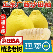 【顺丰包邮】沙田柚新鲜当季柚子纯甜柚蜜柚白心柚水果整箱5/9斤