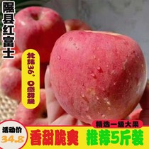 正宗山西隰县自家种植红富士苹果