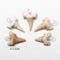 爆款摩洛哥鲨鱼牙齿银丝手工编织吊坠海洋化石标本鼠鲨锥天然菊石