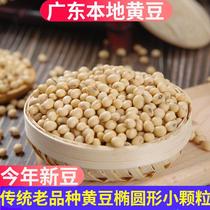 广东农家自种小黄豆打豆浆专用本地有机土黄豆子非转基因散装3斤