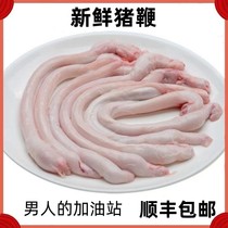 包邮农家4斤新鲜猪鞭去油猪鞭冷冻猪小弟猪阴茎烧烤商用食材