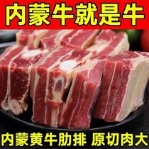 5斤原切内蒙古黄膘牛排牛排骨新鲜带肉散养黄牛肉牛腩牛肋排商用