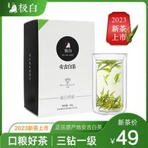 2023新茶绿茶上市 极白安吉白茶礼盒装一级50g 珍稀春茶雨前茶叶