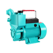 定制自吸泵家用抽水机小型高扬程220V水井自来水自动增压泵静音抽