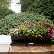 家庭园艺树脂加厚耐摔长方形高光细长条种花盆阳台种菜盆送托盘