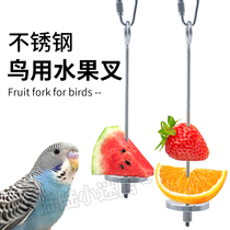 鹦鹉鸟用水果叉不锈钢水果棒虎皮喂食器鸟类喂食专用夹子鸟笼用品