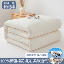 新疆棉花被芯定制春秋冬被褥子垫被单人学生宿舍0.9米1.35双人1.8