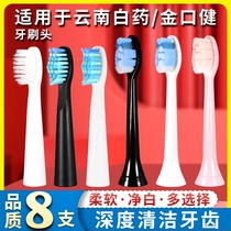 适用于云南白药 金口健电动牙刷头JK1501软毛替换头K1676S2/K1/K3
