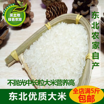 新东北大米农家大米优质大米散装大米黑龙江大米长粒米包邮1斤