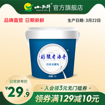 小西牛青海原味老酸奶益生菌发酵桶装酸奶 1kg*1桶 新鲜日期