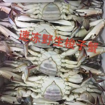 冷冻深海野生梭子蟹海螃蟹十斤一箱150至500克可选近可包邮