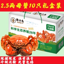 兴化大闸蟹海鲜现货水产品螃蟹2.5两母蟹10只礼盒装