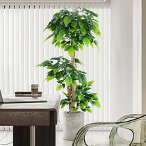 大型仿真植物幸福树发财树客厅落地假绿植室内家居装饰摆件假花