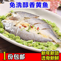 品三江海味 免洗即蒸或煎 醇香黄鱼干 新鲜大黄鱼干 黄花鱼鲞