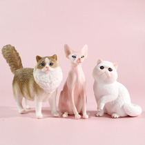 儿童仿真布偶波斯短毛无毛猫玩偶模型摆件宠物小猫咪公仔玩具动物