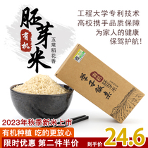 学子饭桌有机胚芽米五常稻花香大米东北长米粒谷物营养焖饭熬粥米