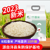 2023秋季新米软糯真空细长汉中双亚香4号农家一级长粒香大米10斤