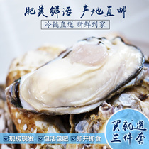 乳山牡蛎10斤鲜活生蚝新鲜海蜊子贝类水产带壳蜊头现捞顺丰包邮