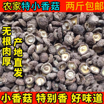 500g新鲜湖北农家金钱小香菇【2-2.5cm】冬菇两斤包邮