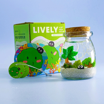 包邮海藻球微景观生态瓶水培球藻<em>创意迷你植物</em>桌面玻璃瓶盆栽礼物