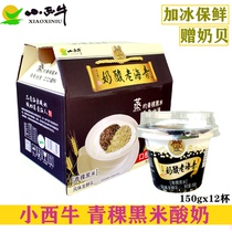 小西牛酸奶 青海特产老酸奶青稞黑米藏之宝 150gx12 高原特产 包