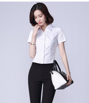 短袖女衬衫白色棉韩版夏装圆领工作服正装工装大码职业面试女衬衣