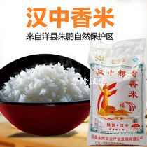 大米洋县大米新米 香米农家自种长粒香大米10kg包邮软米饭宝宝米