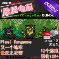 Pixel Dungeons Bundle|喜加11|Steam正版|挂卡|游戏|慈善包|秒发
