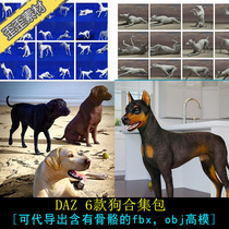 daz狗3D模型金毛拉布拉多猎犬动作互动pose3D模型合集maxMayaC4D