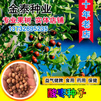 酸枣种子食用药用保健野枣枣树种籽山枣角针硬枣大红枣种籽酸枣仁