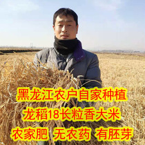 2023新东北黑龙江延寿特产长粒香龙稻18农民自产香气浓郁口感好