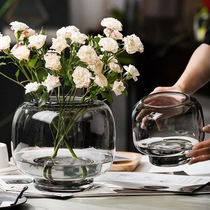 轻奢大肚花瓶摆件ins玻璃透明水养鲜花干花插花客厅桌面鱼缸花器