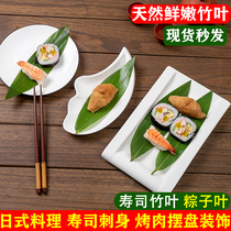 粽叶新鲜竹叶子100片真空寿司料理刺身烤肉摆盘装饰小粽子叶新叶
