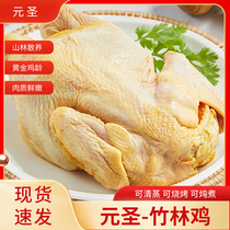 元圣竹林鸡冷冻新鲜750g免洗整只生鲜全鸡空气炸锅农家散养土鸡肉
