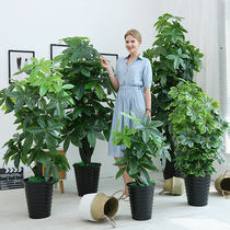 假花仿真发财树装饰植物室内假盆栽客厅花大型高仿树绿植塑料盆景