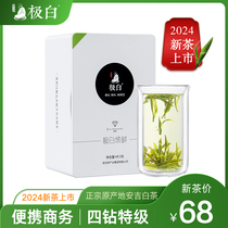 2024新茶上市极白安吉白茶商务礼盒特级49.5g绿茶茶叶官方旗舰店