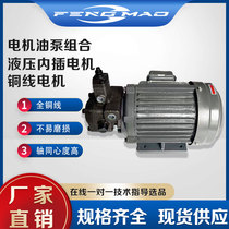 液压油泵电机组VP15/VP20+0.75KW/1.5KW液压泵总成内轴电机液压站