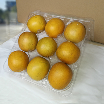 密封盒装罗汉果 金黄色绿色散装干果低温脱水冻干广西桂林市永福
